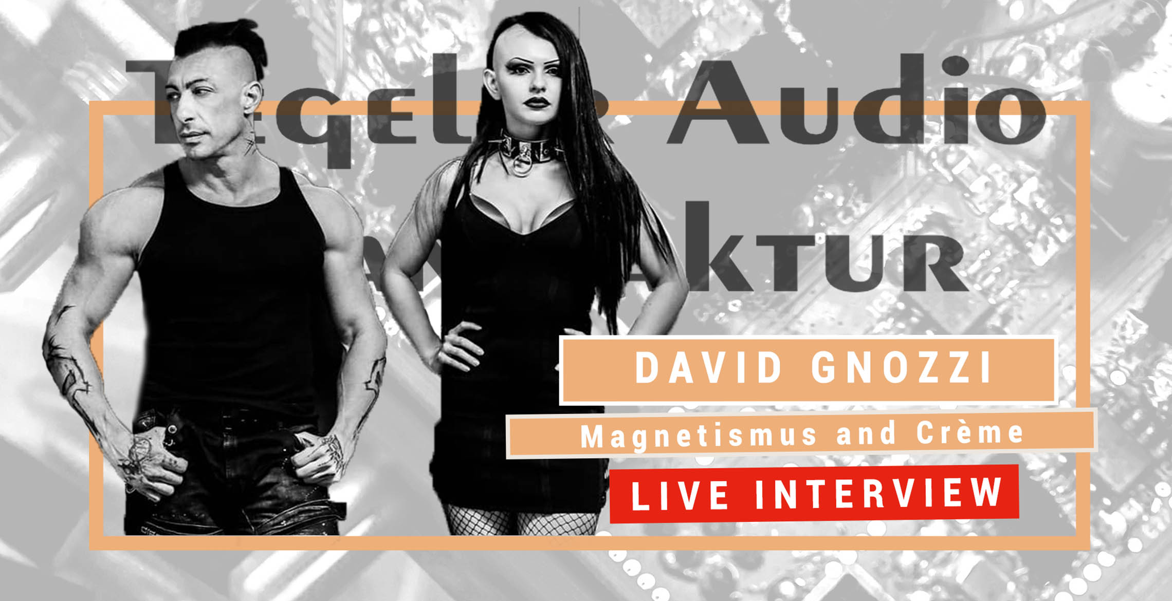Artist Interview with David Gnozzi (MixBusTV) Artist Interview with David Gnozzi (MixBusTV)